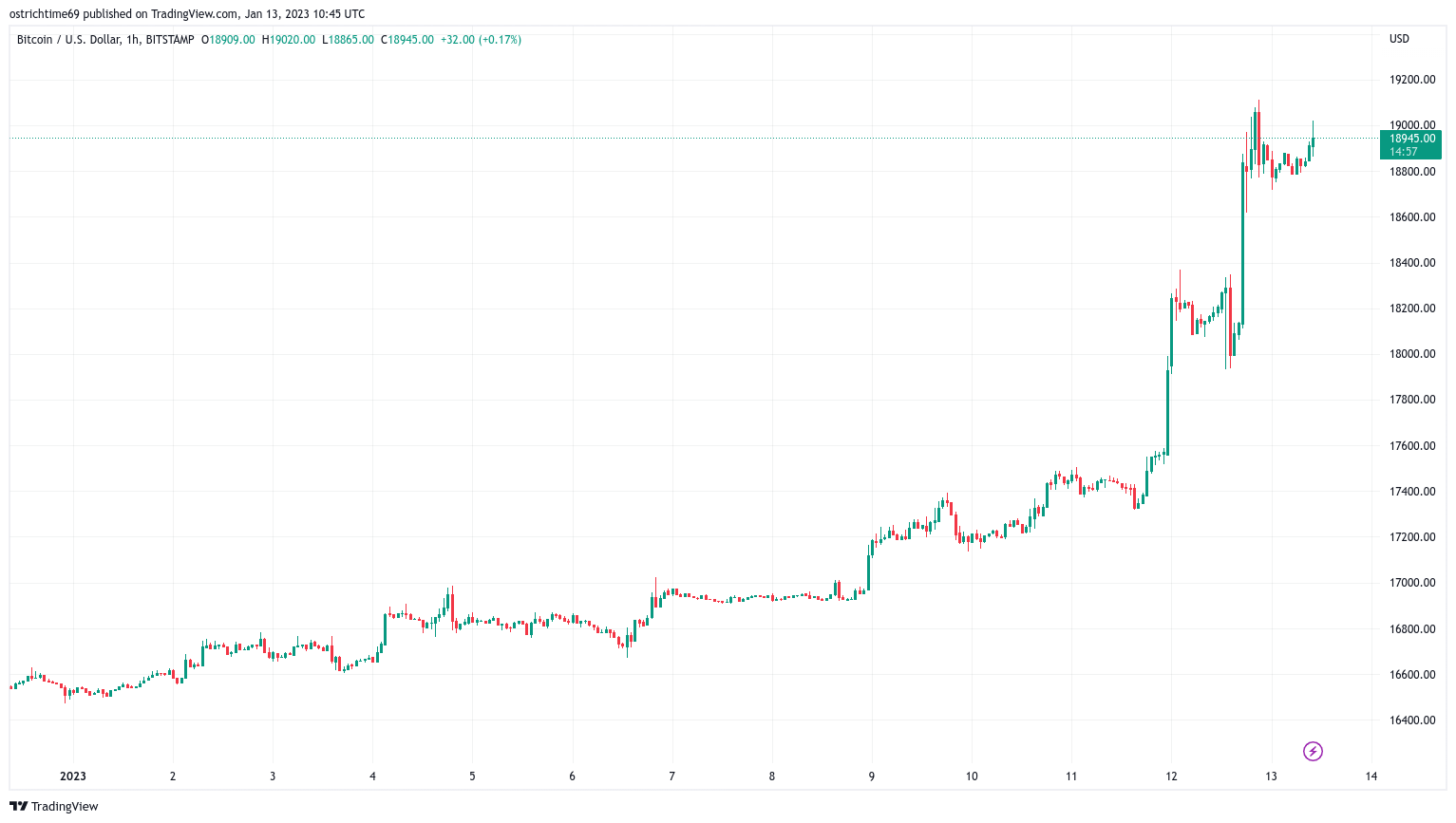 BTC fiyatı ve TSLA hissesi 'kedi-fare' oynuyor